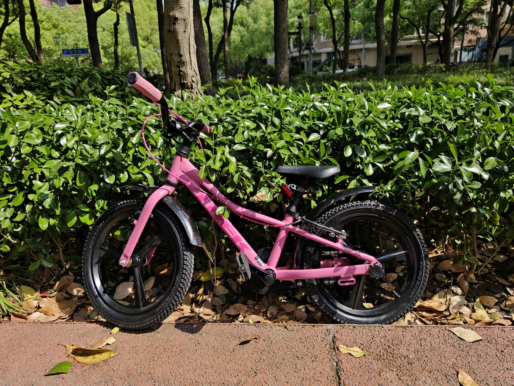 1000094424.jpg