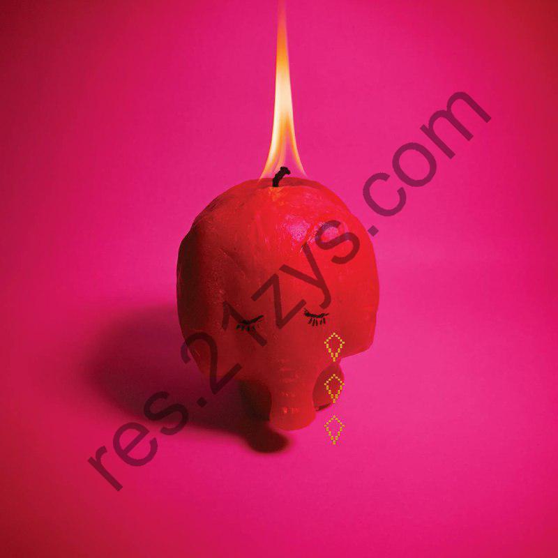 Arcade Fire – Pink Elephant -2025- ALAC 高解析度无损｜24bit96Khz 已刮削