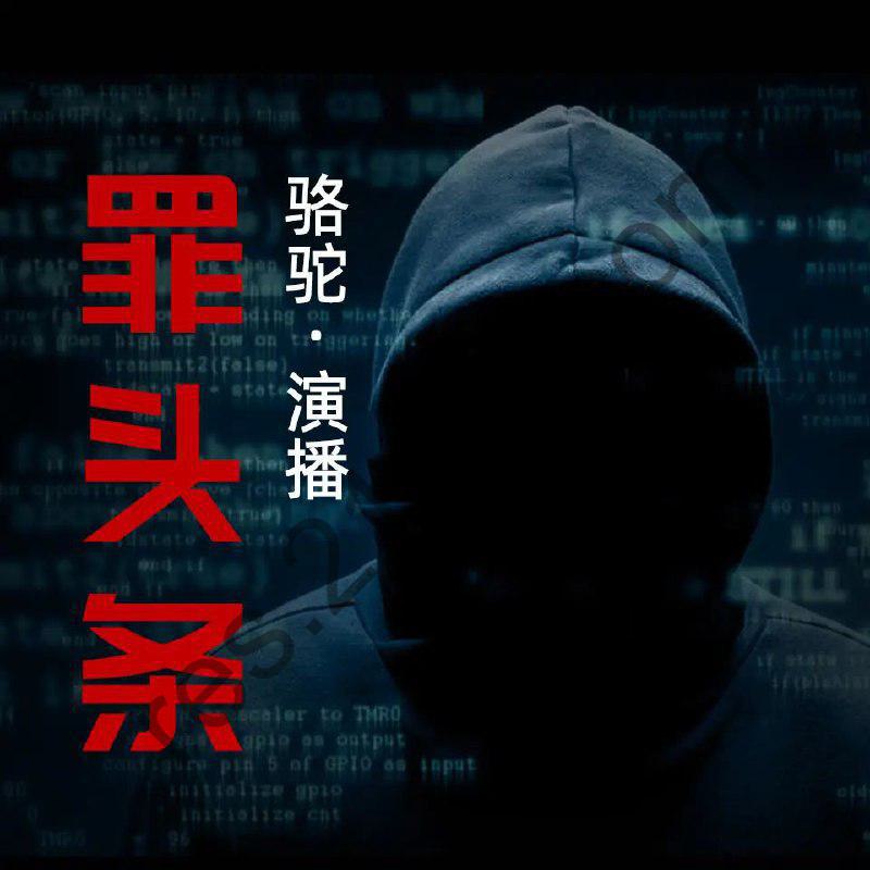 有声小说《罪头条》主播：骆驼357集完