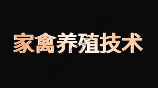 家禽养殖技术