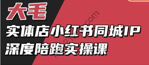 大毛-实体店小红书同城IP深度陪跑实操课，实体店小红书获客教程