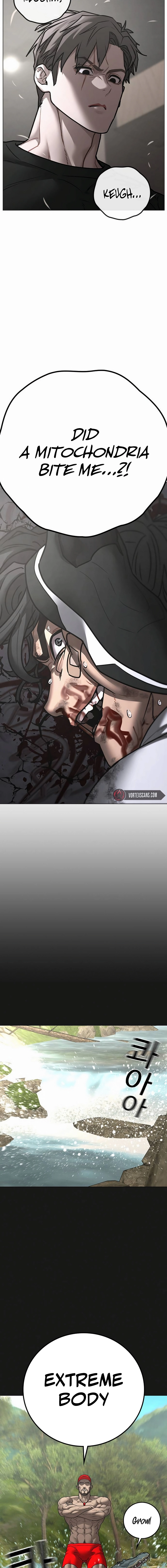 16.webp