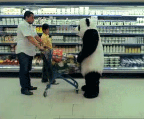 img-1697908234658002C3cJEgy1hj247w2shlg607y06k13p02.gif
