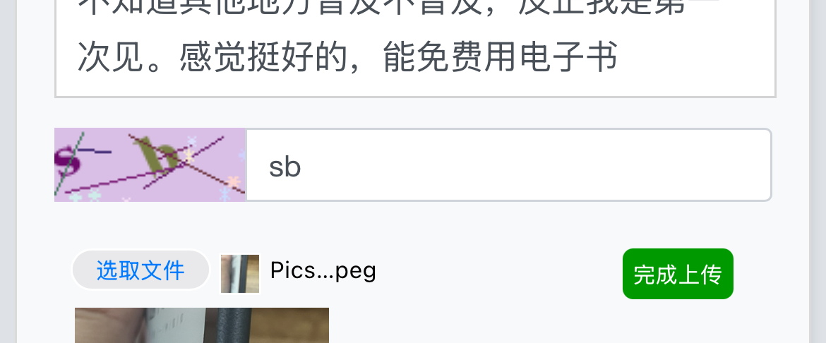 IMG_7531.jpeg
