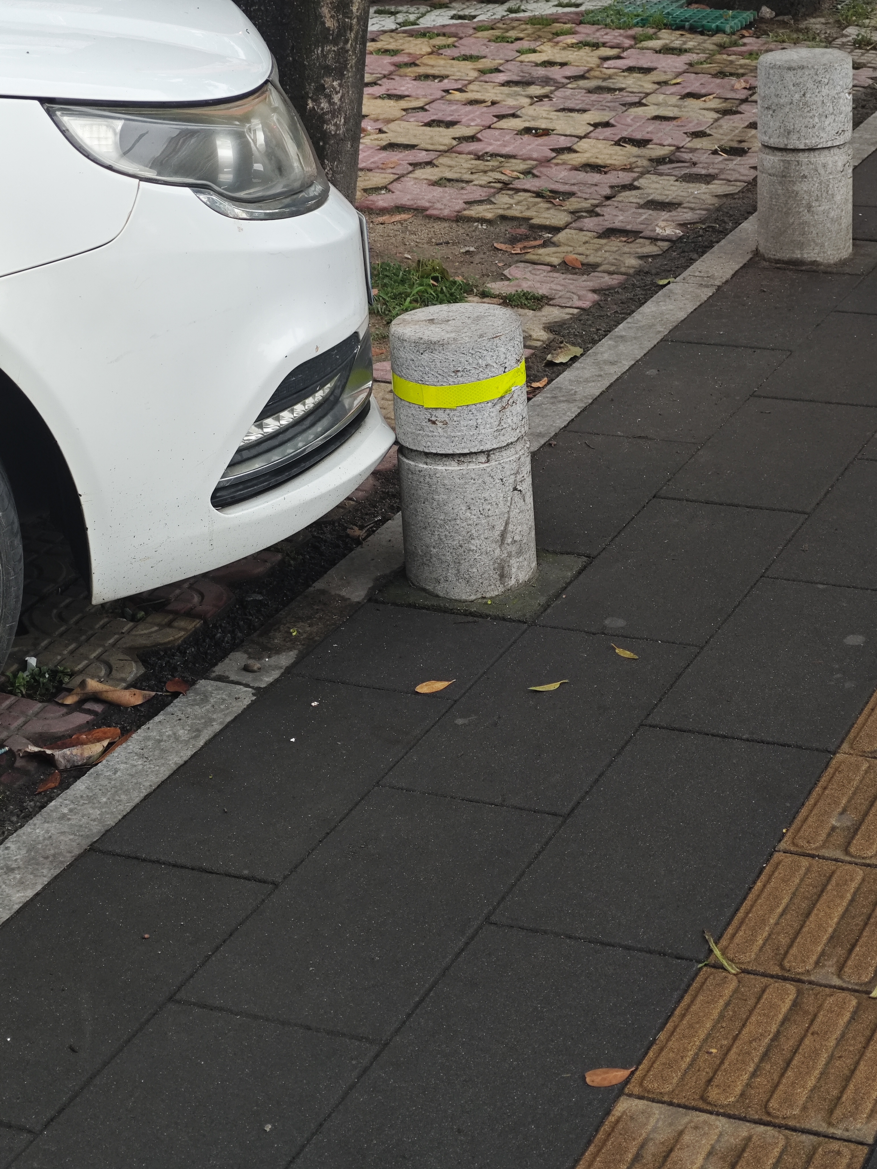 1000113592.jpg
