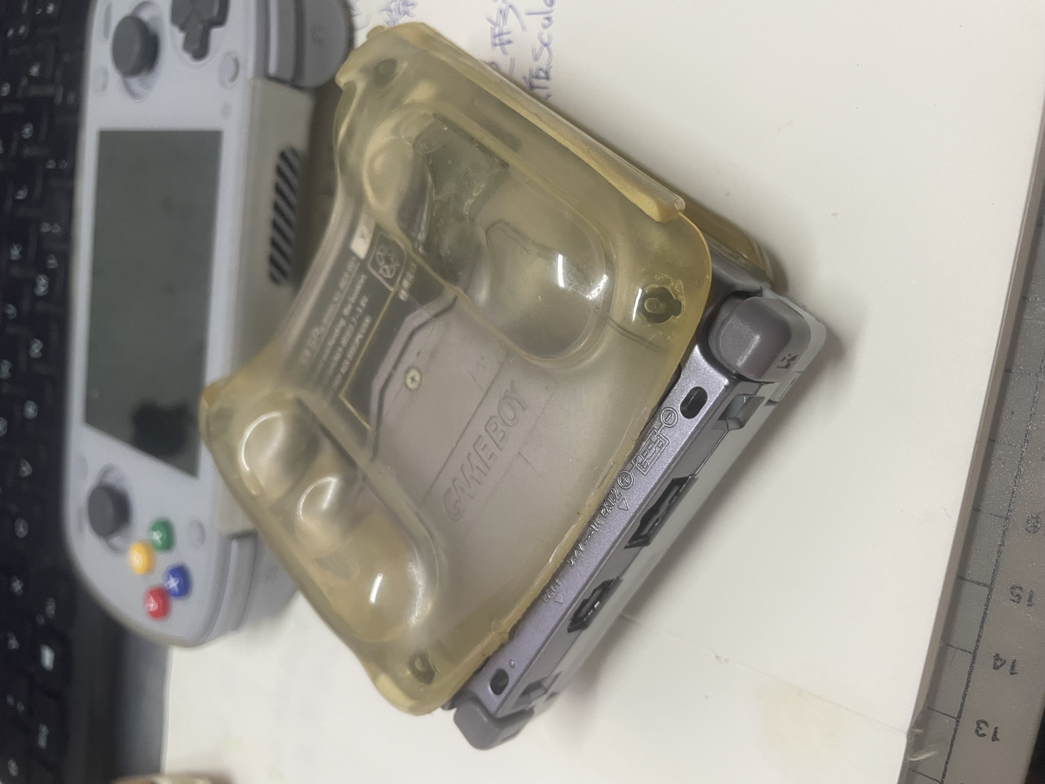 IMG_3894.jpeg