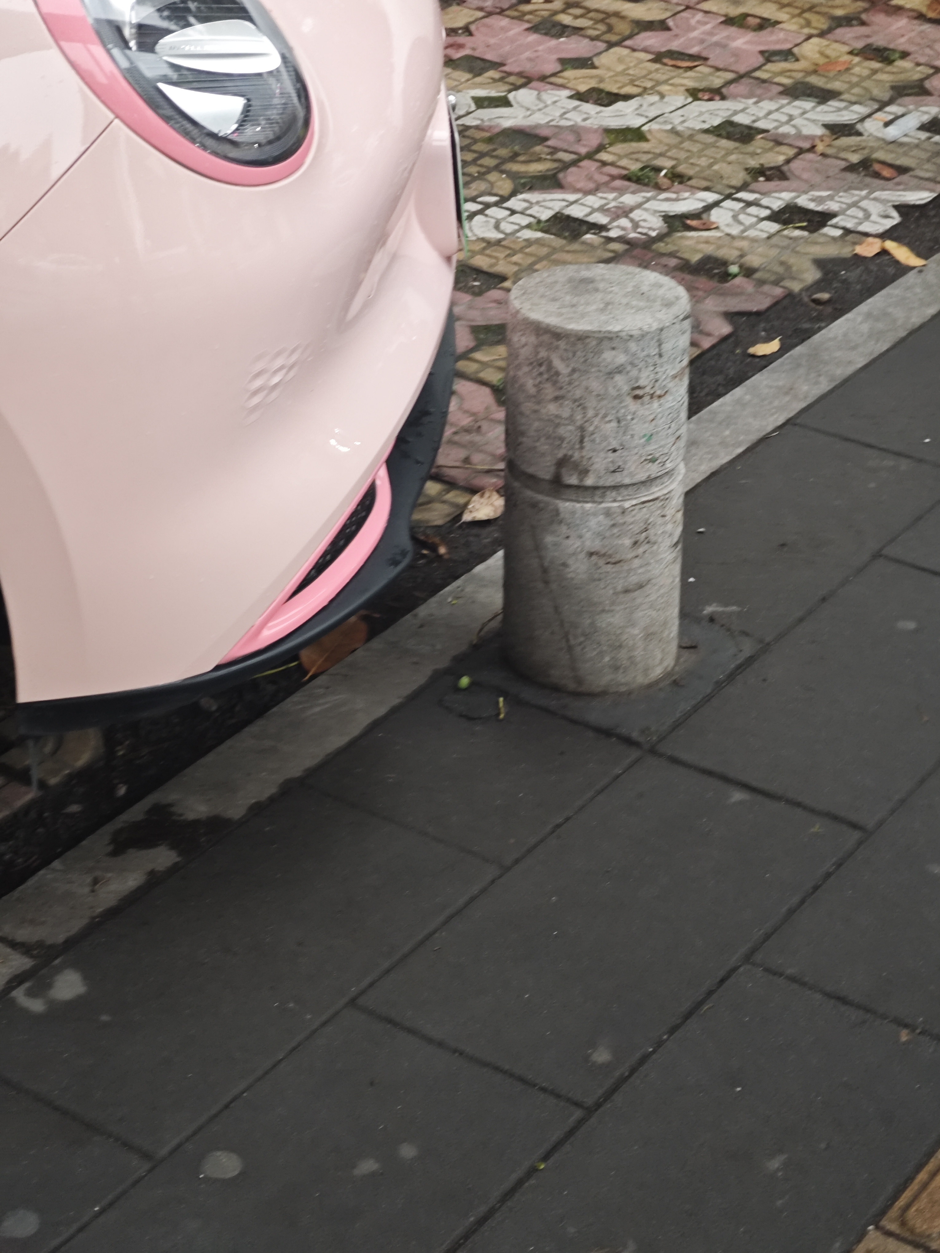 1000113591.jpg