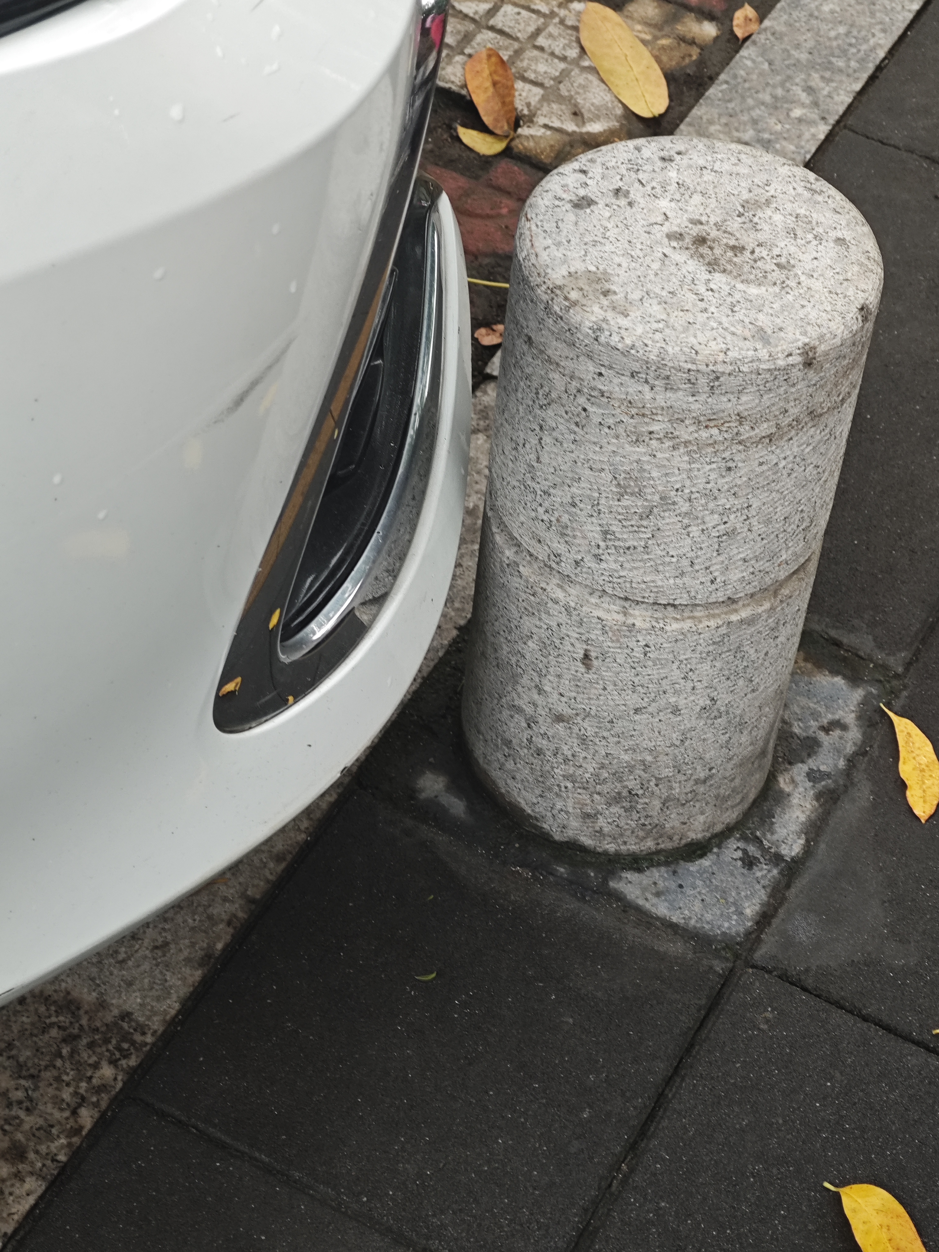 1000113590.jpg