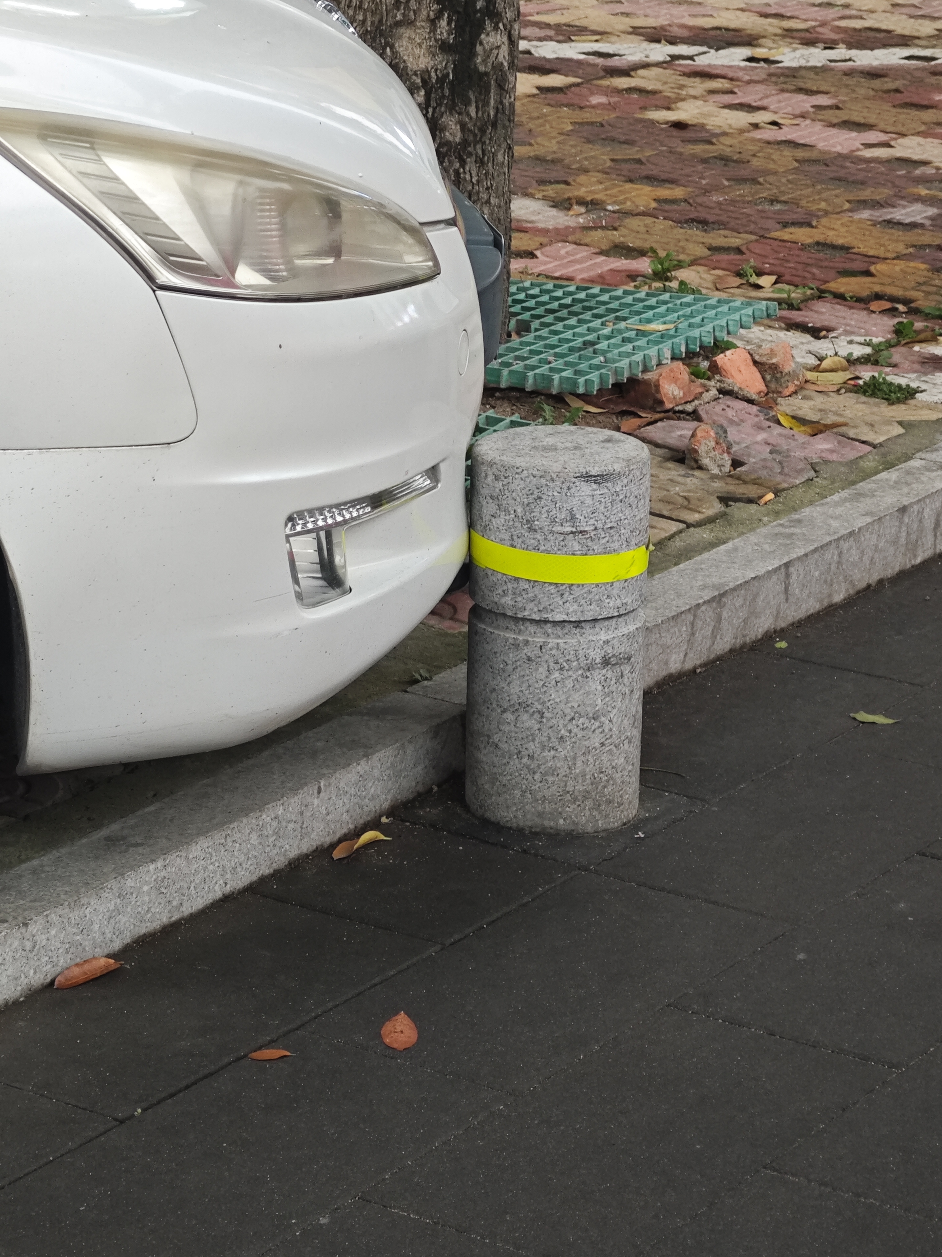 1000113594.jpg
