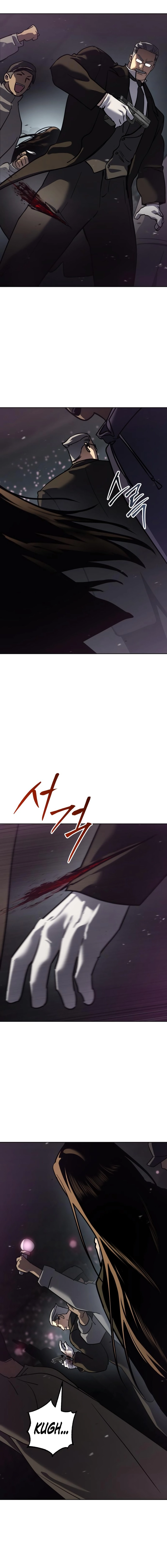 14.webp