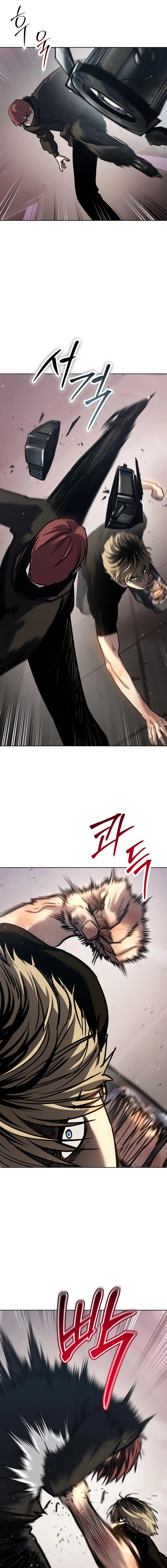 19.webp