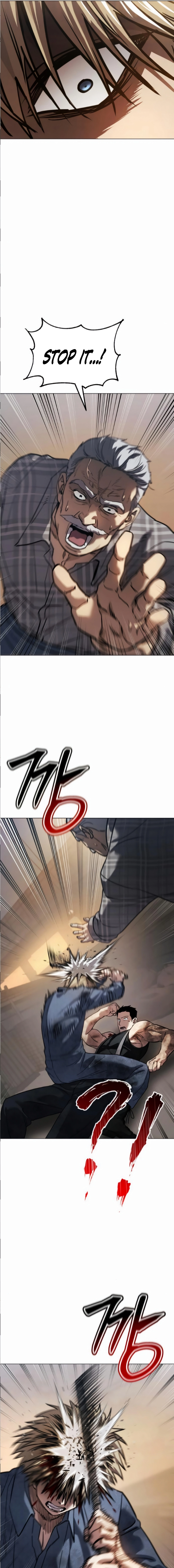 13_.webp