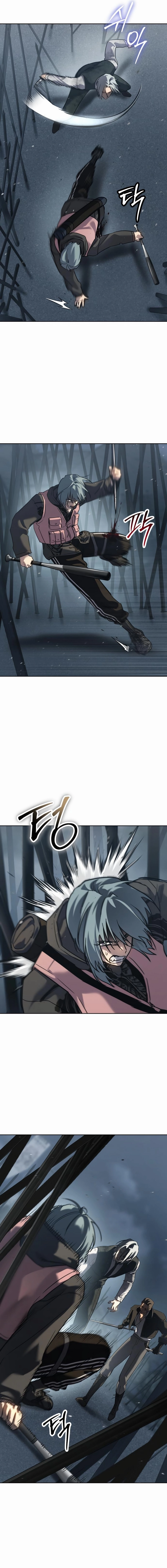 15.webp