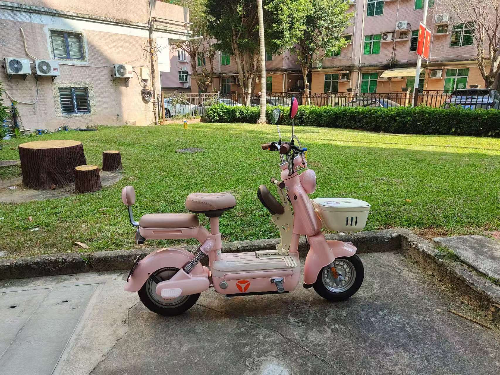 1000003293.jpg