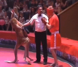 20250610_083858.gif