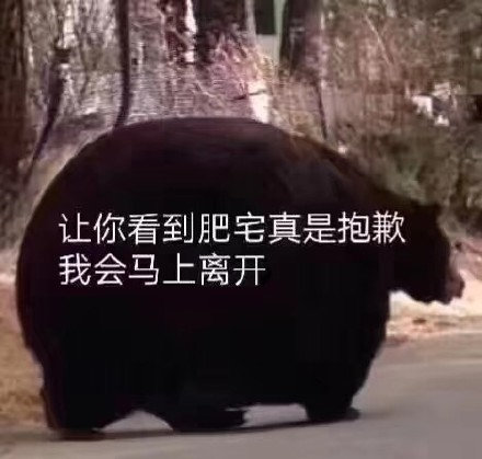 B5DA8271-1C67-459D-B864-B4AB00EC1E46.jpeg