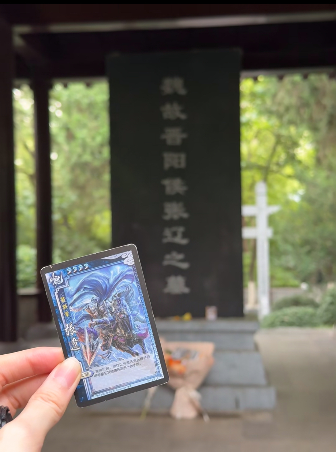 IMG_6195.jpeg