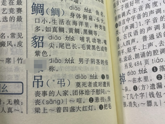 Picsew_20250702124554.jpeg