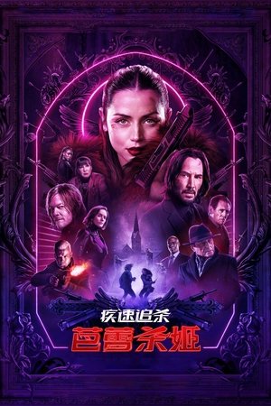 疾速追杀：芭蕾杀姬