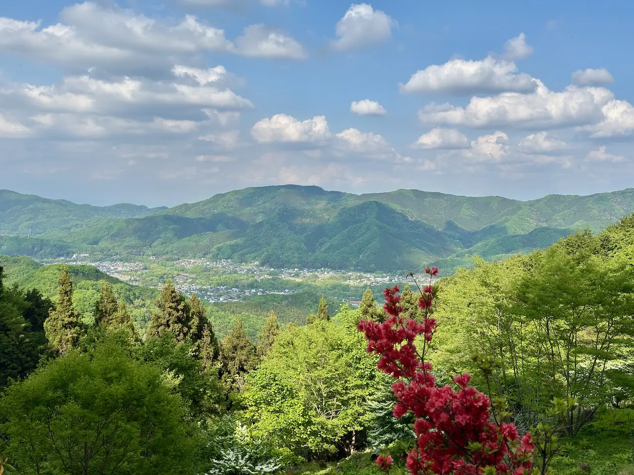 宝登山景