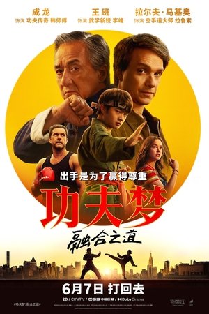功夫梦：融合之道