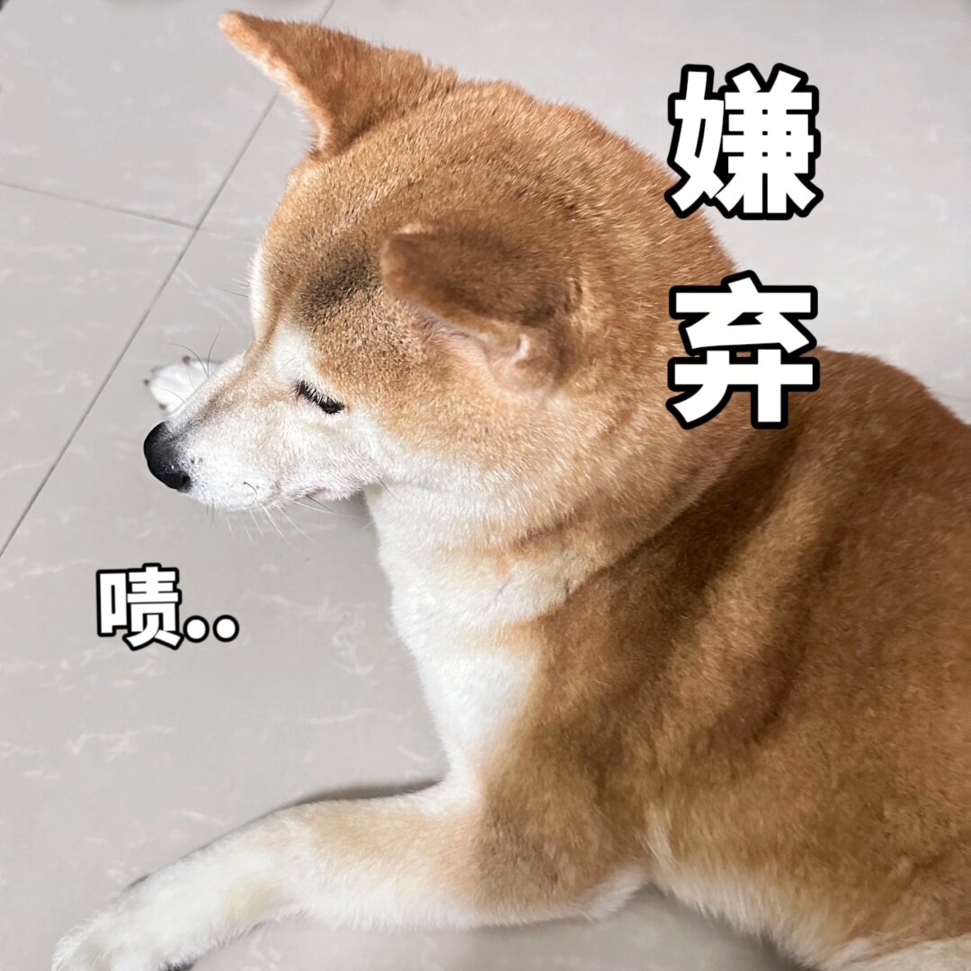 e97962221a54e478797f54b7748cf755a6778e7959b4a133db26a06504dcca10.0.JPG