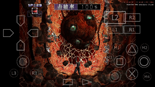 11.gif