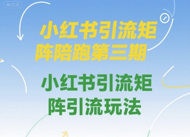 小红书引流矩阵陪跑第三期,小红书引流矩阵引流玩法