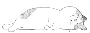 a209d1651b179130256ea8749f9673cd404216060.gif600w_220h_1e_1c.gif