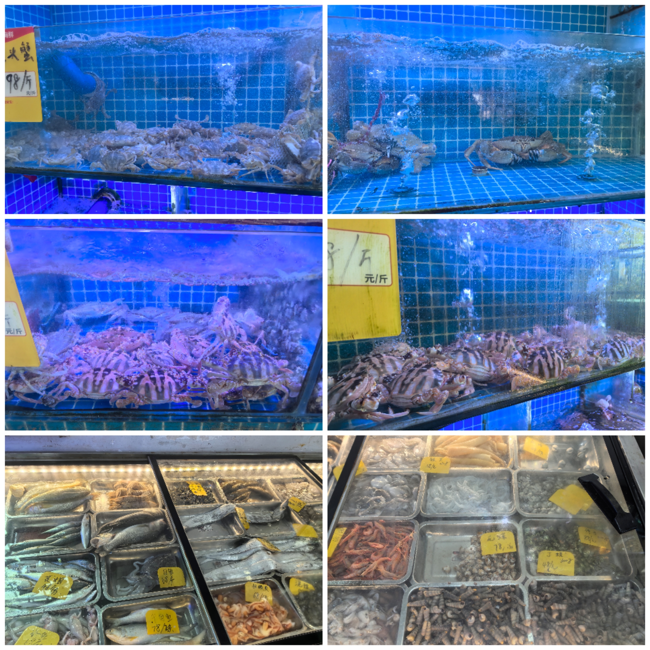Collage_20250728_164535.jpg