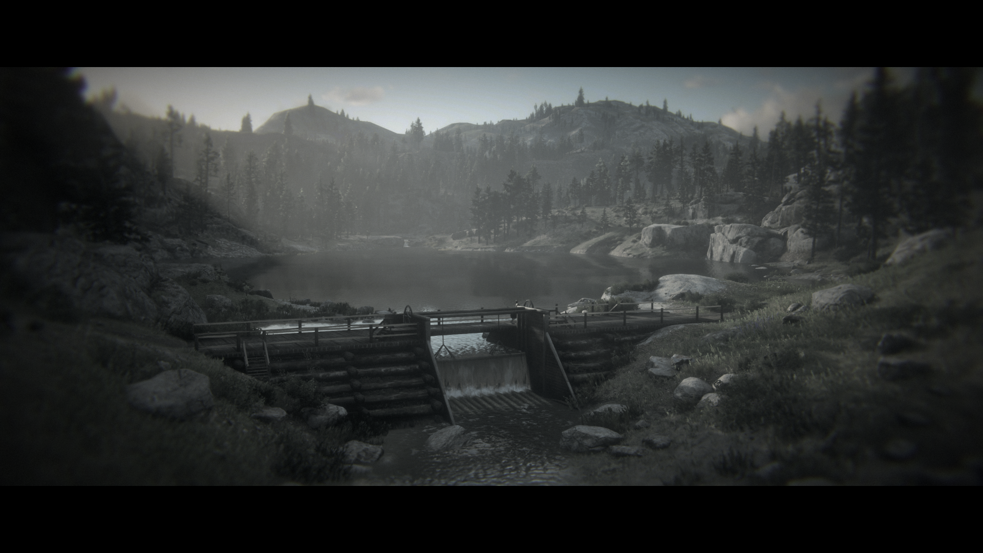 Red Dead Redemption 2_2025.08.08-00.02.png