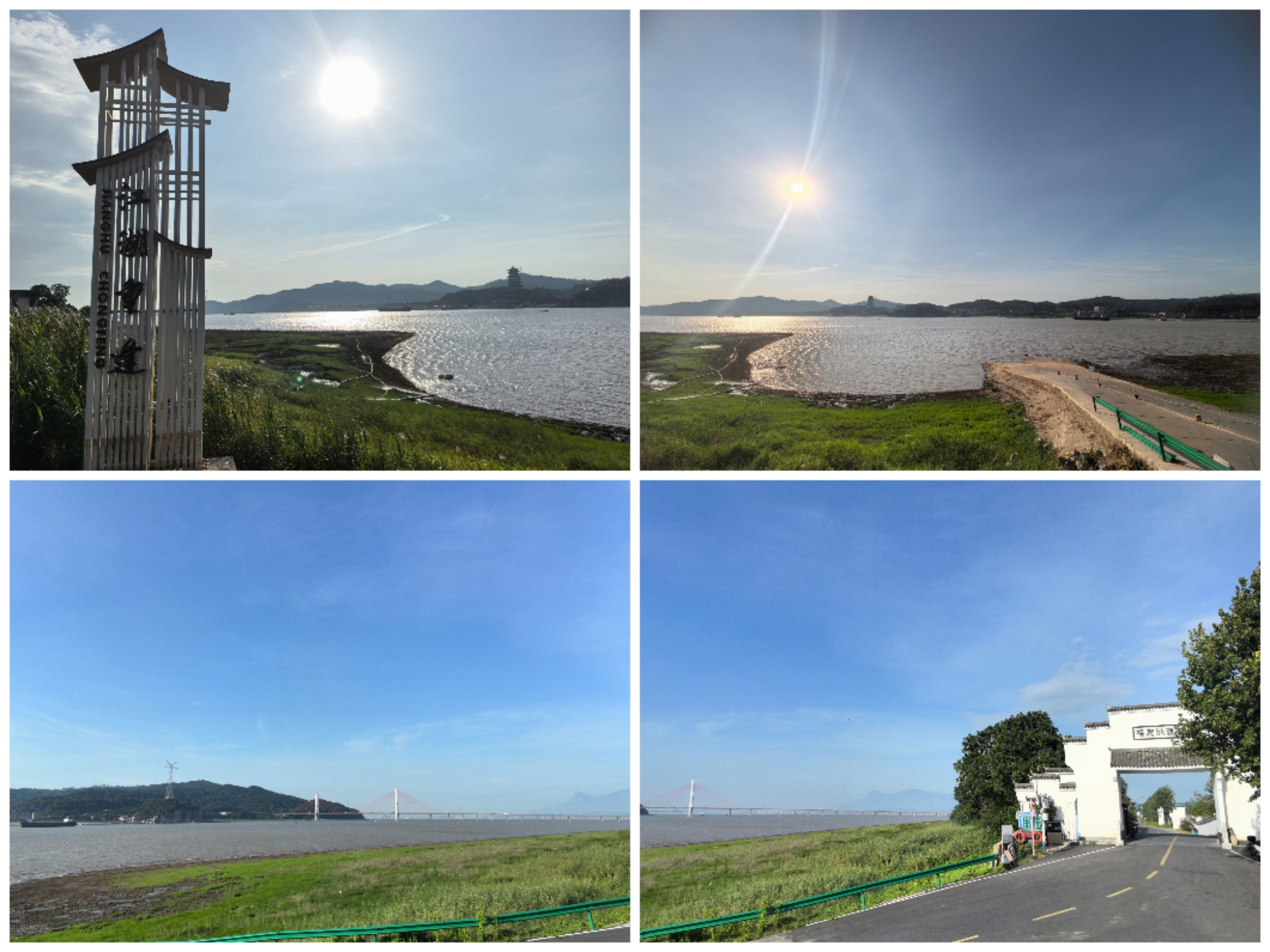 Collage_20250809_093130.jpg
