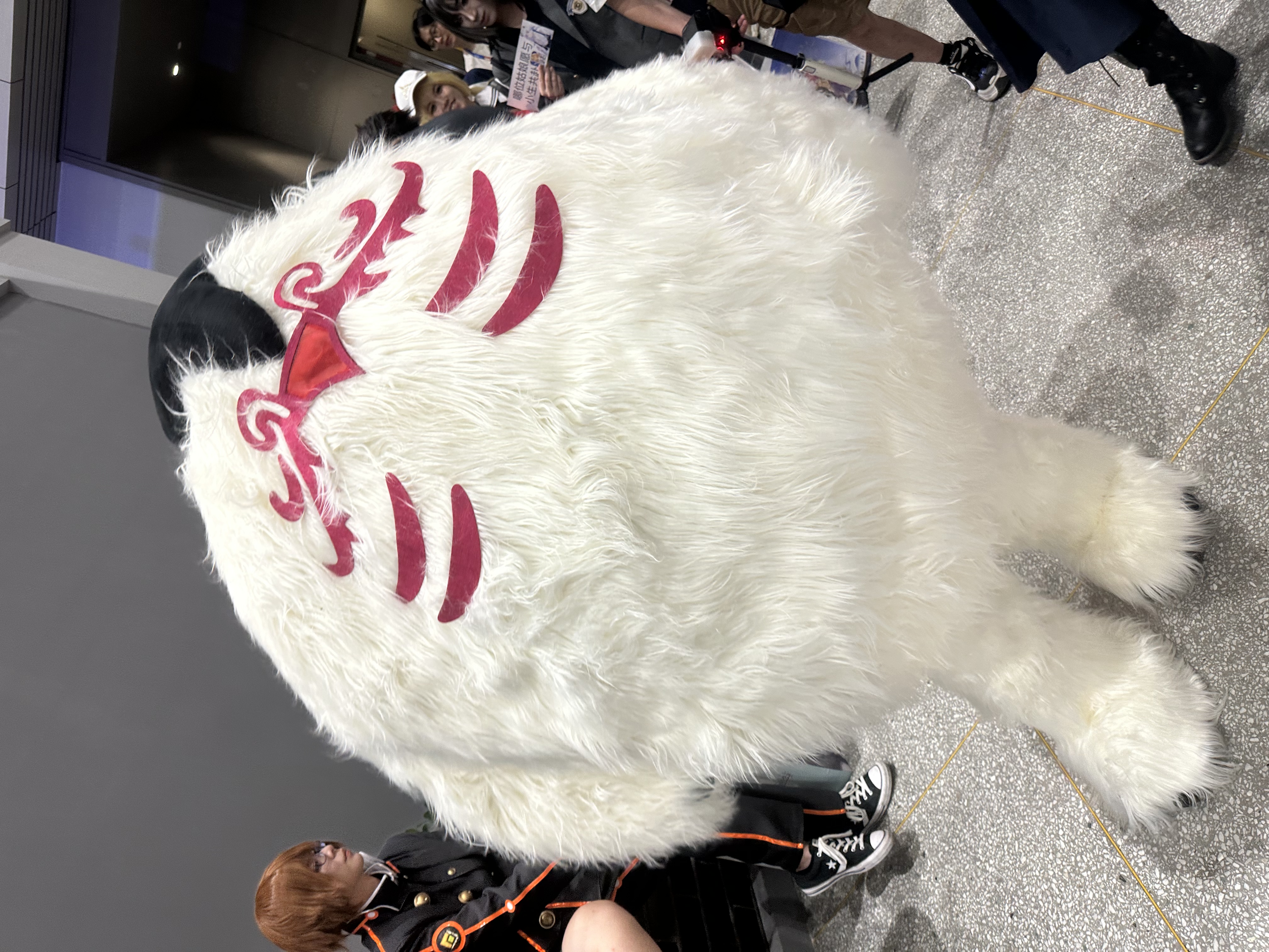 IMG_3315.jpeg