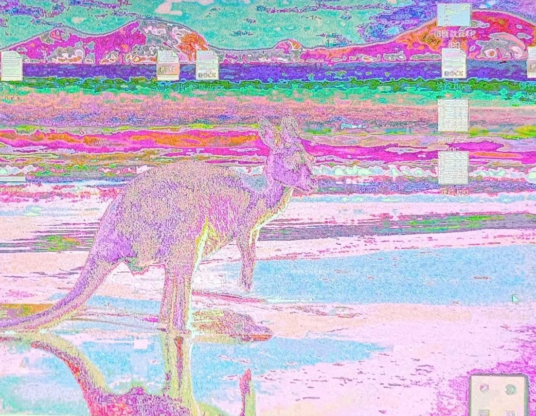 101264.jpg