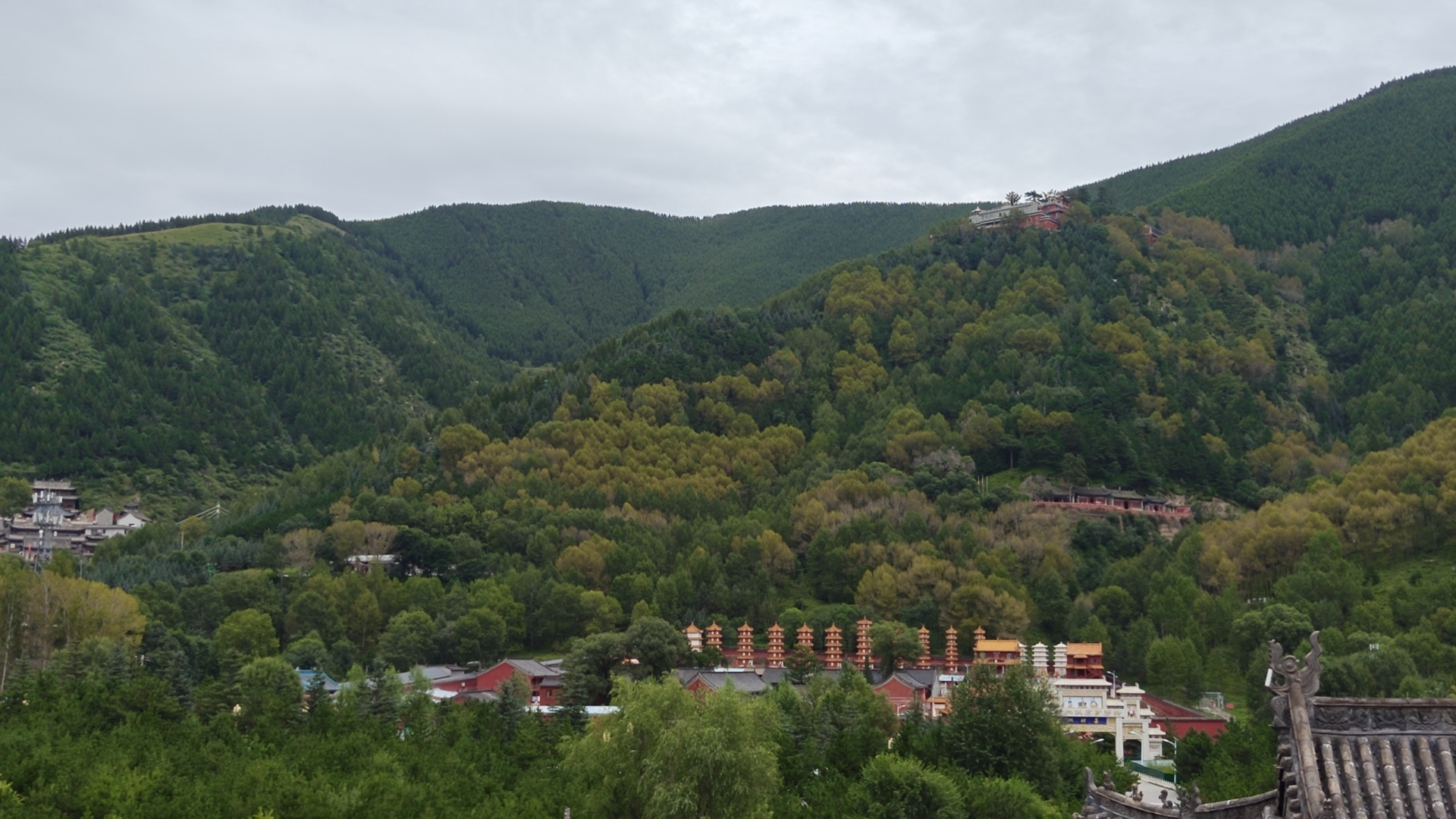 wx_camera_1755850422892.jpg