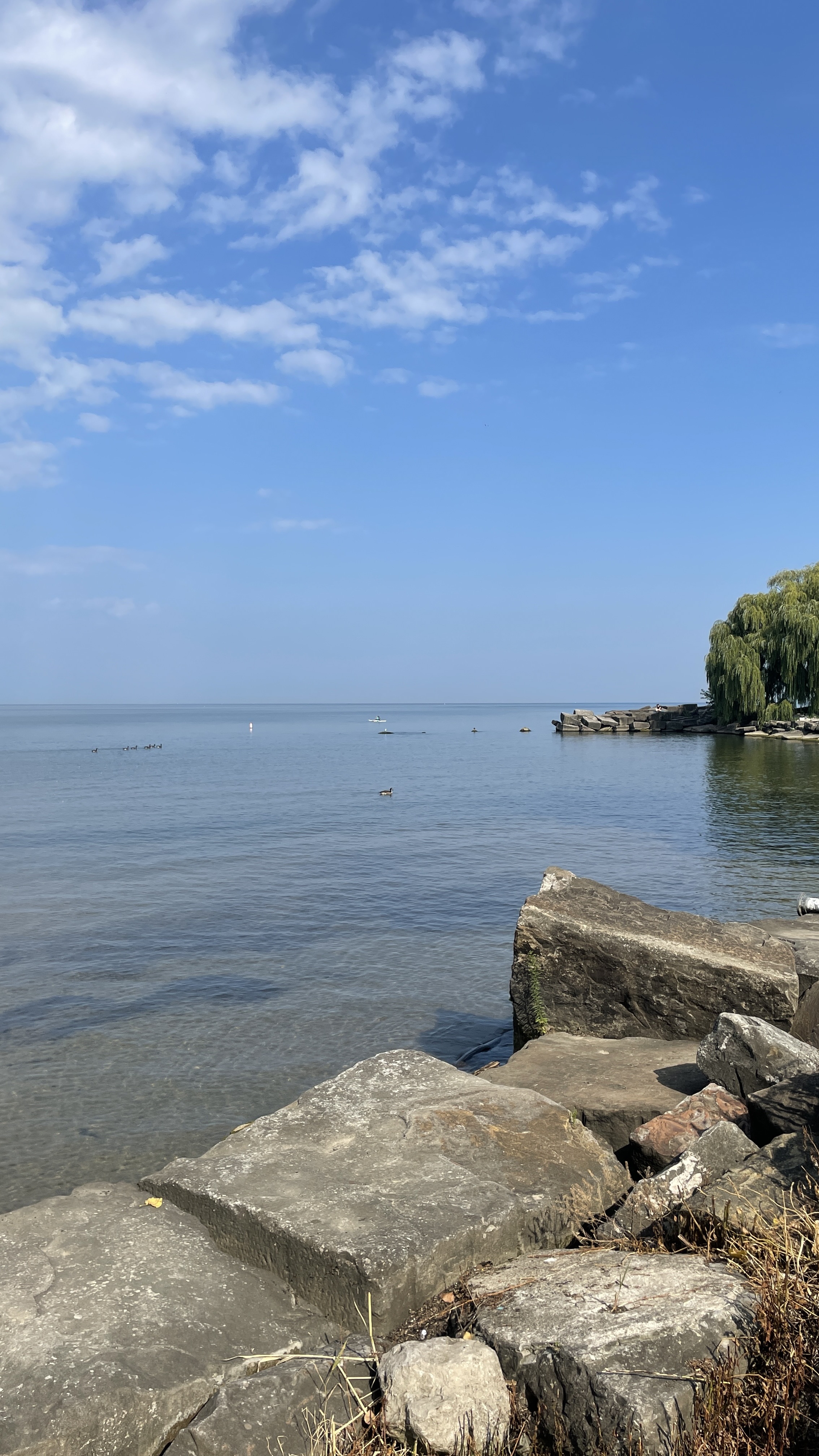IMG_5931.jpeg