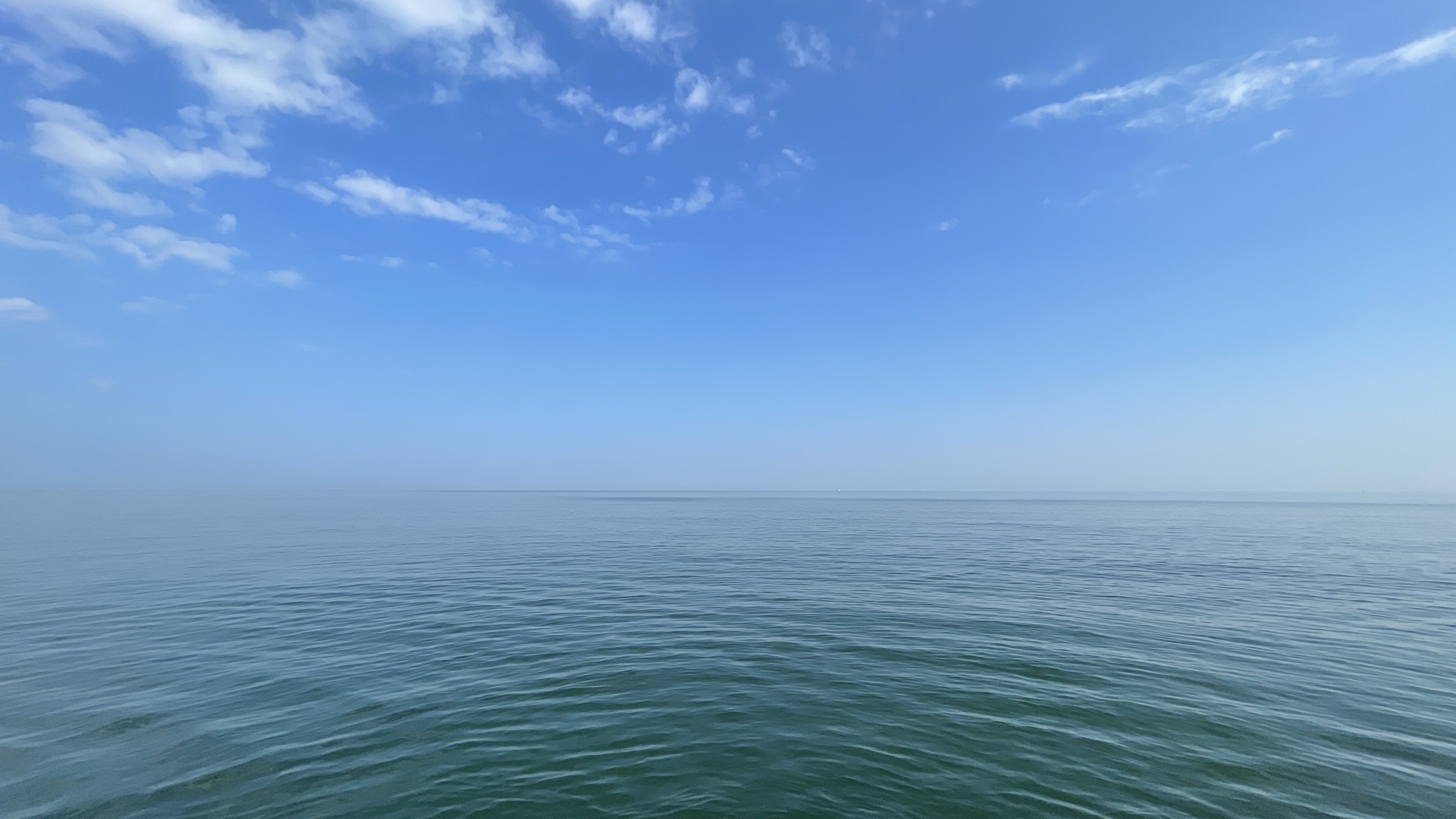 IMG_5934.jpeg