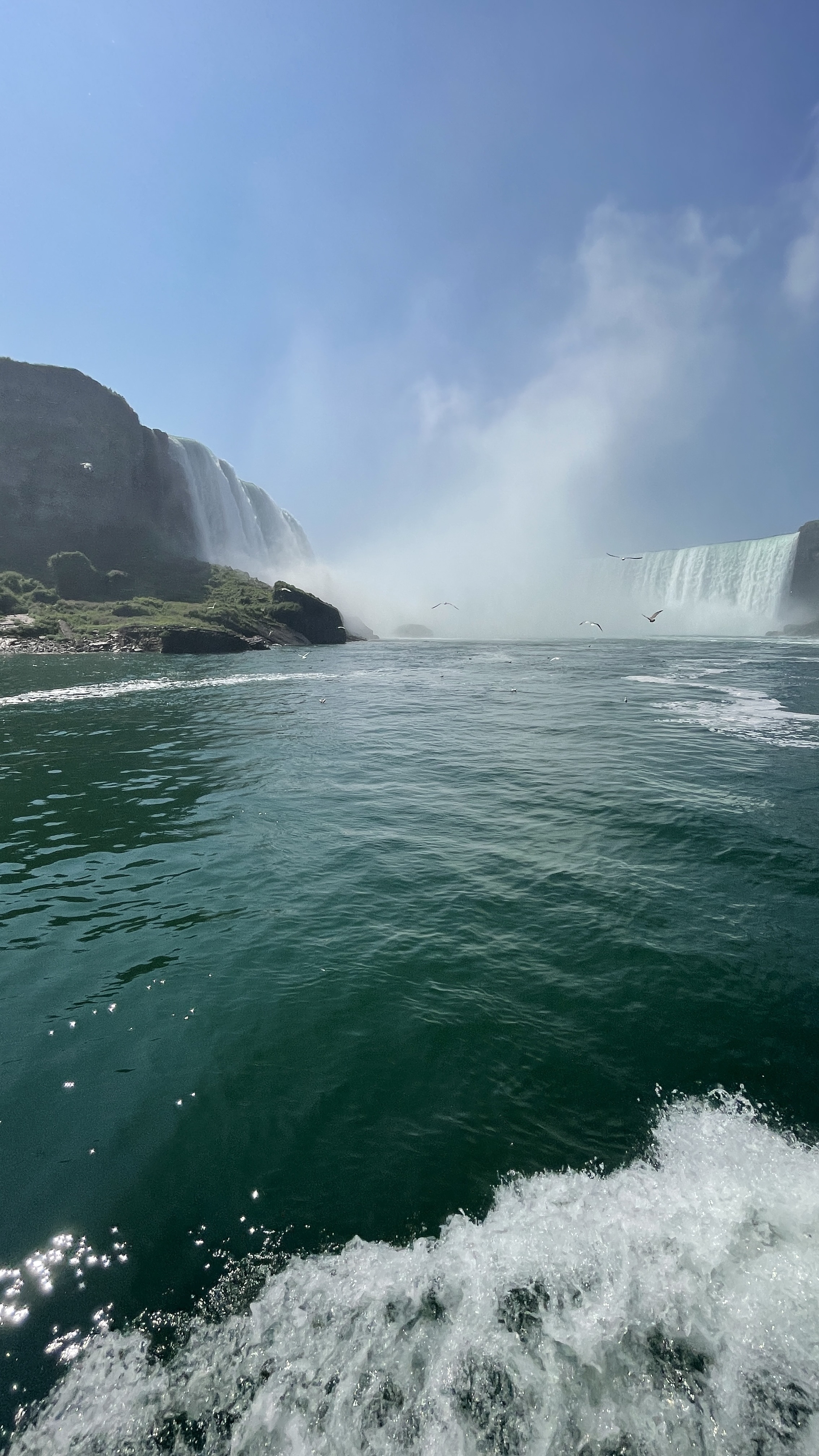IMG_6091.jpeg