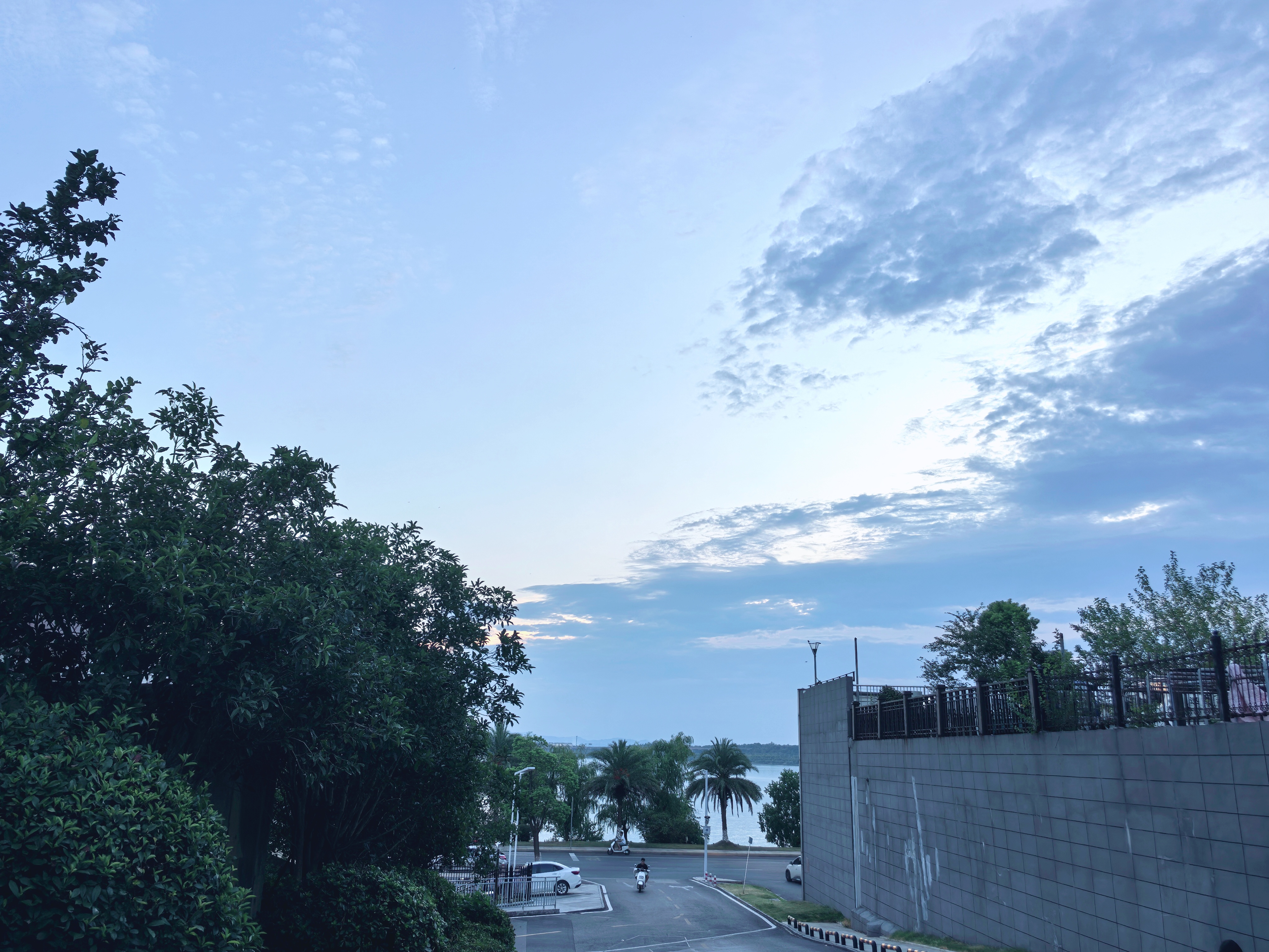 IMG_20250824_182503.jpg