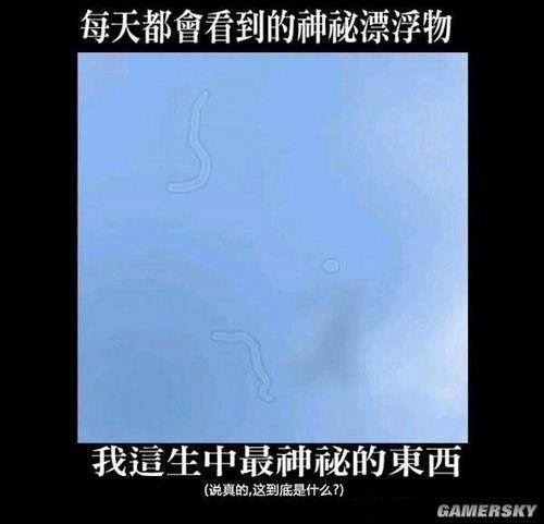 1731375460848.jpeg