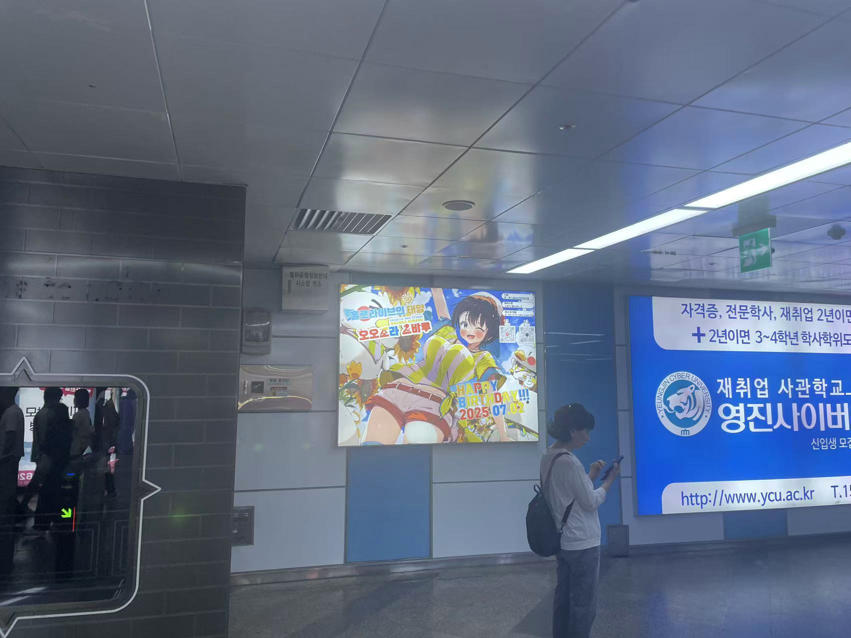 493868402.jpg