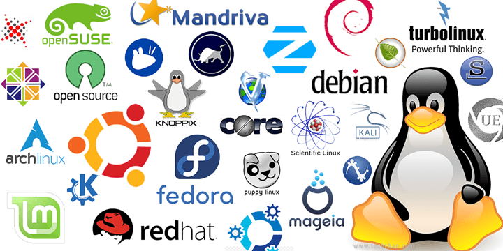 Linux发行版