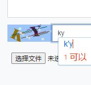 验证码.jpg