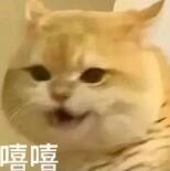 QQ截图20250922092521.jpg