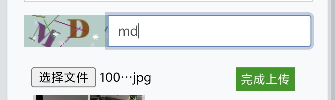 1000005849.jpg