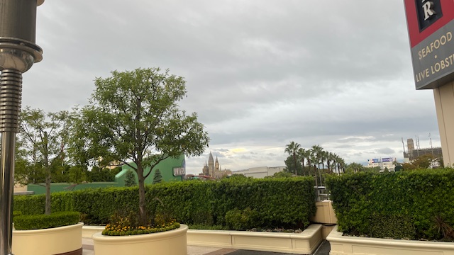 IMG_0269.jpeg