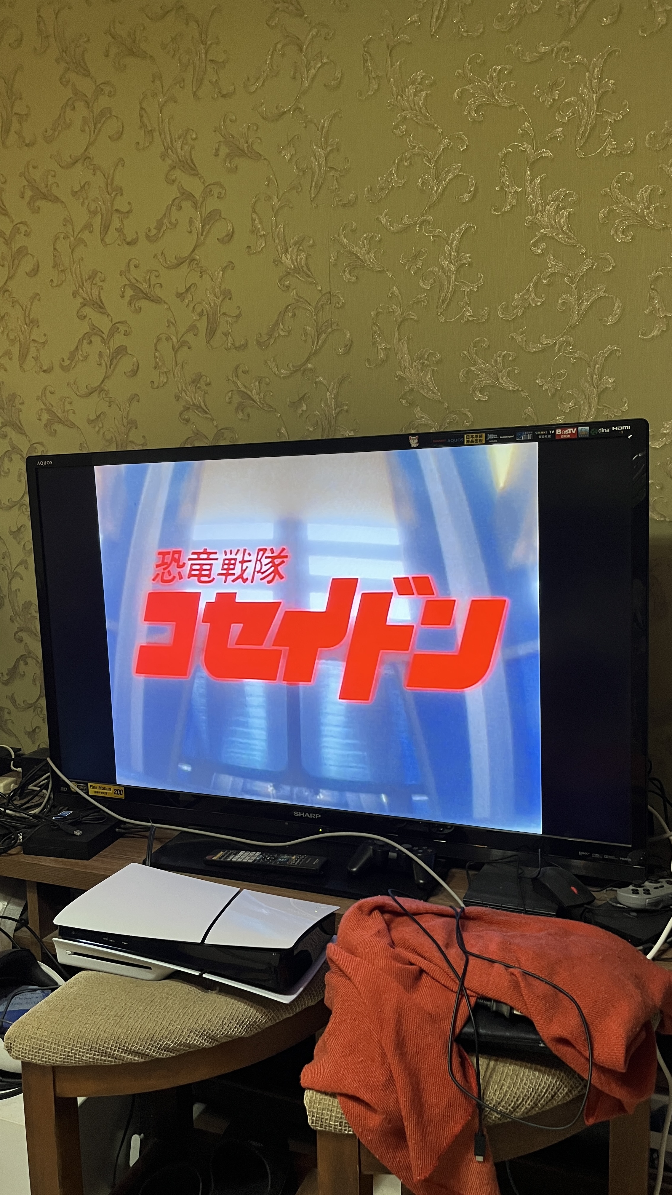 IMG_2313.jpeg