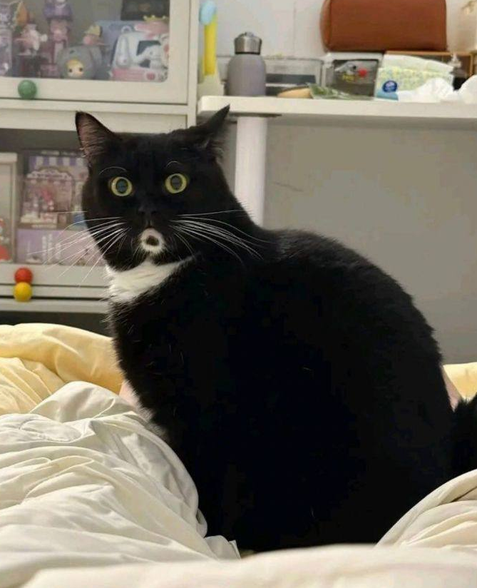 屏幕截图 2025-11-01 100650.png