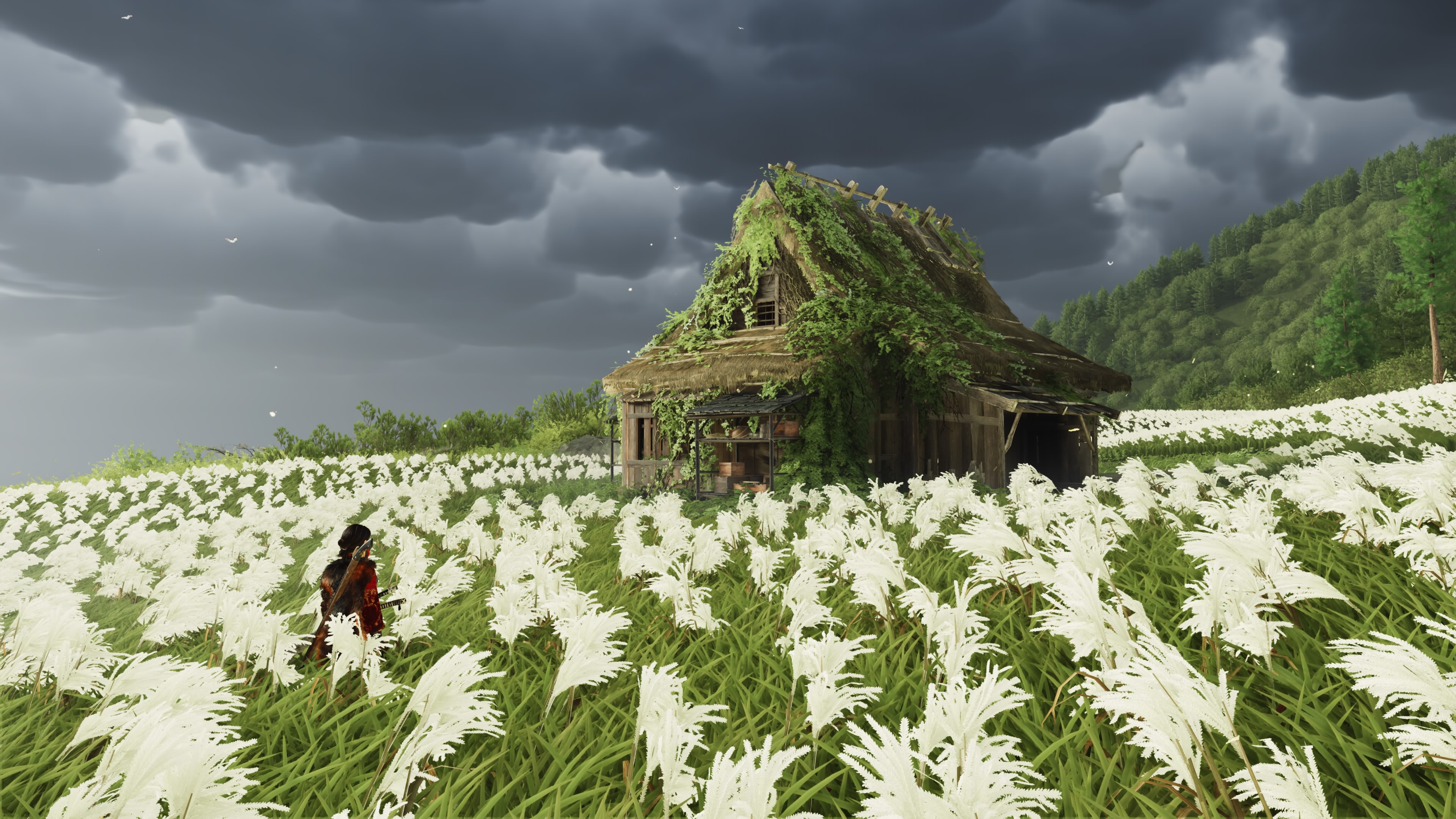 Ghost of Yōtei_20251109161549.jpg