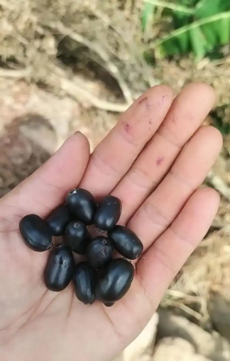 屏幕截图 2025-11-12 094259.png